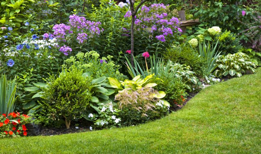 RR Shine Landscaping